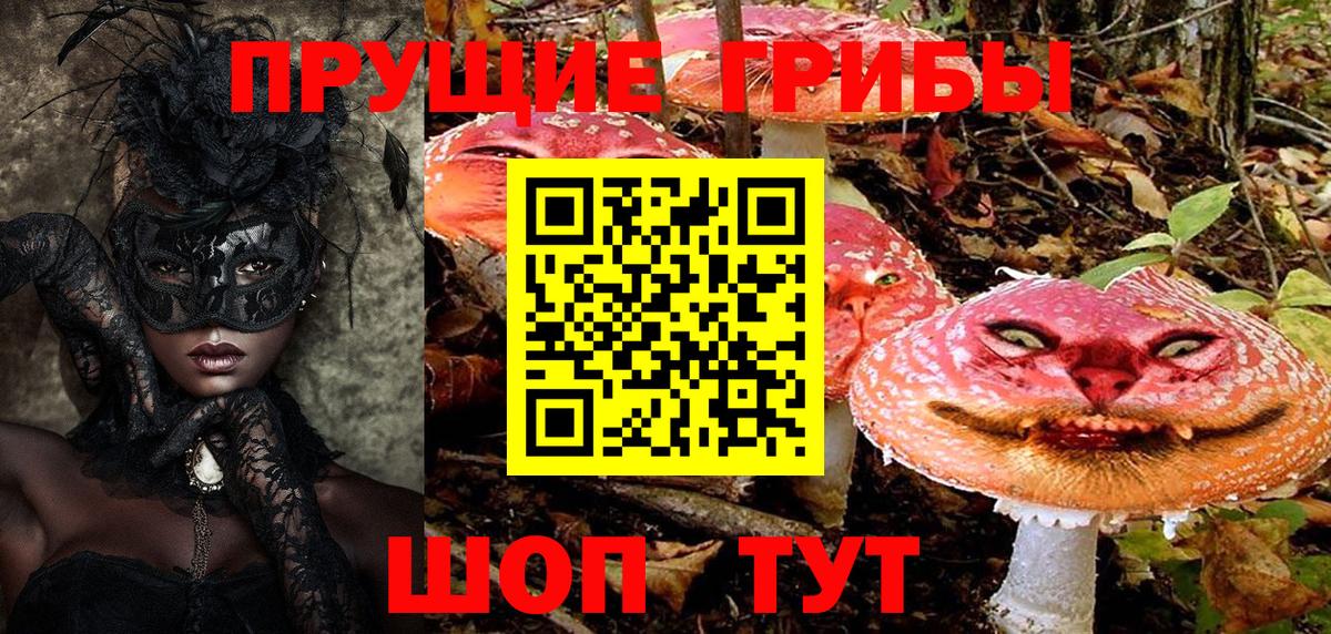 Галлюциногенные грибы Psilocybine cubensis Моздок